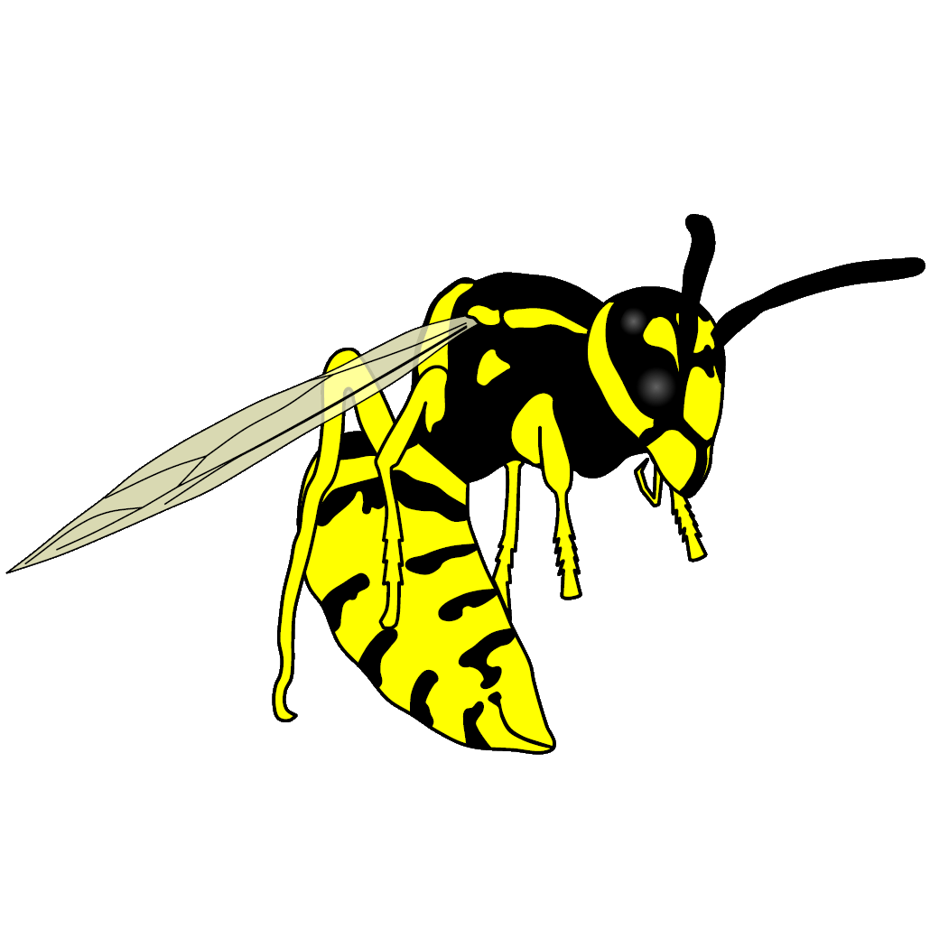 Yellow Jackets