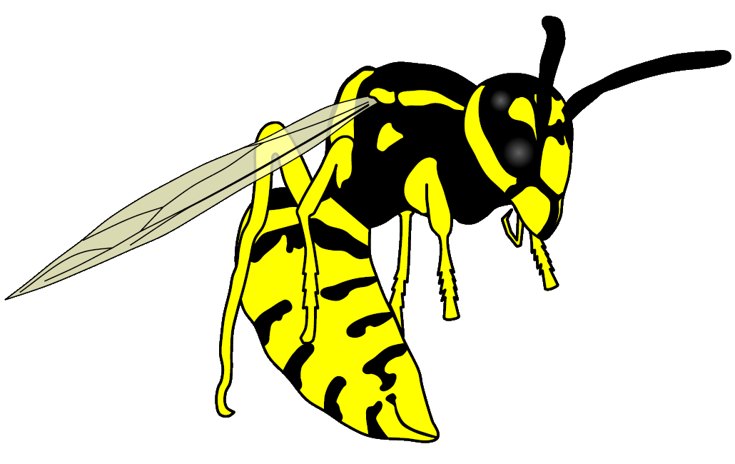 Yellow Jackets