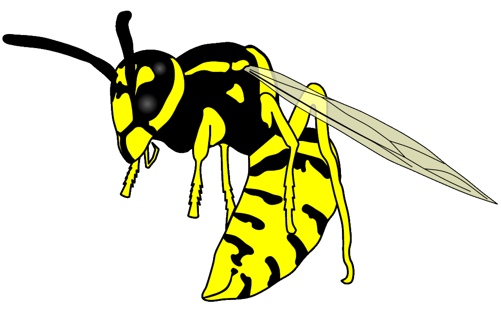 Yellow Jackets